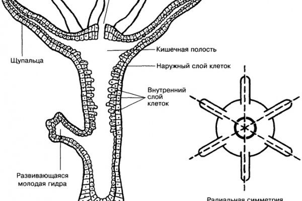 Кракен мага